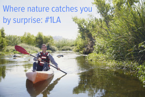 Mayor Garcetti Kayaking
