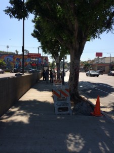 Echo_Park_Streetscape