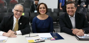 judges